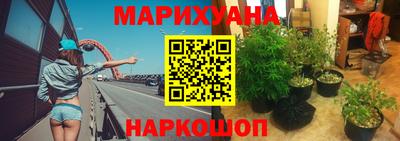 индика Абакан