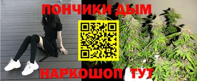 индика Абакан