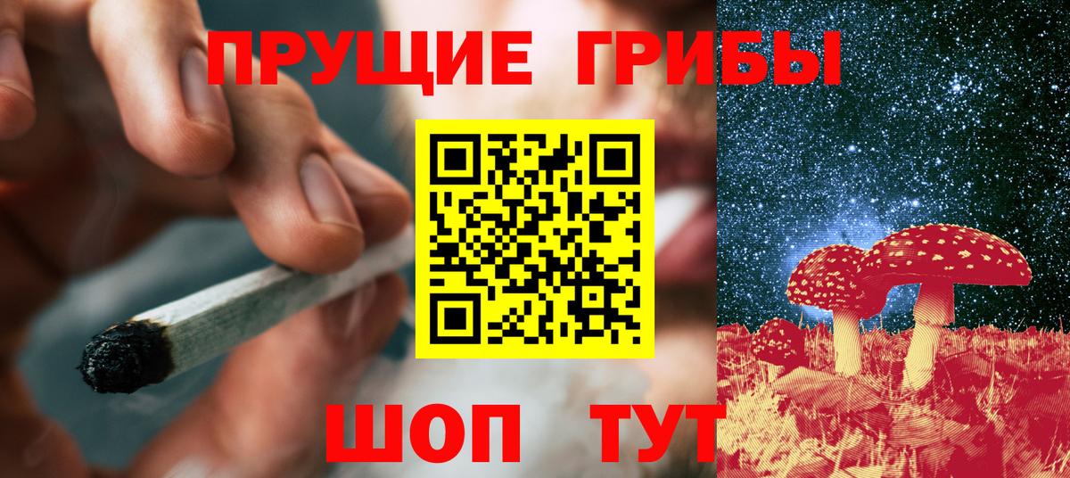 Галлюциногенные грибы Psilocybine cubensis Алексеевка